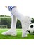 Futbol Ayakkabısı (Yurt Dışından) 3