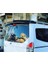 Ford Courier Siyah Spoyler (Sry) 2