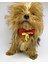 Mini Rudolph Köpek Papyonu Kurdela Tasma Yılabşı Noel 1