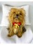Mini Rudolph Köpek Papyonu Kurdela Tasma Yılabşı Noel 4