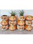 Dede Nine Saksı Ikili Set 1