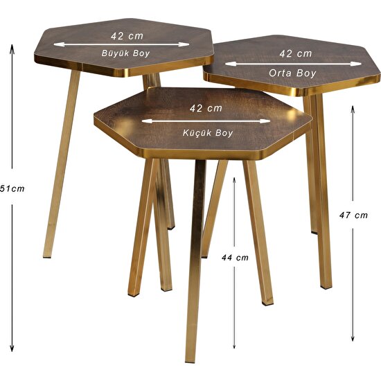 3 LÜ ZİGON SEHPA Vionessa Furniture HEXAGON COFFE TABLE METAL P20 LEGS COVE GOLD AFZEL