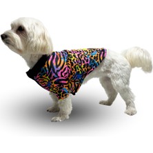 Nobledog Store Neon Renkli Leopar Desenli Köpek Mont