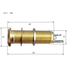 Belovee Gitar Dişli Silindir Çıkış Giriş Fişi Gitar Bas Parçası Altın (Yurt Dışından)