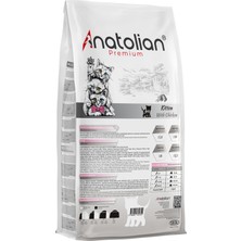 Anatolian Premium Kitten Chicken Tavuklu Yavru Kedi Maması 4 kg