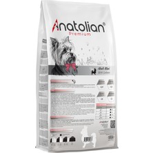 Anatolian Premium Mini Adult Salmon Somonlu Yetişkin Küçük Irk Köpek Maması 2 kg