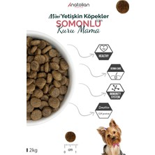 Anatolian Premium Mini Adult Salmon Somonlu Yetişkin Küçük Irk Köpek Maması 2 kg