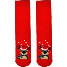 Carnaval Socks Kırmızı Geyik Desenli Havlu Çorap