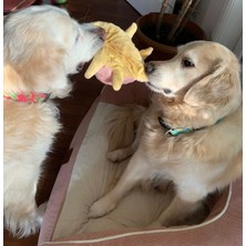 Peggy Peluş Ahtapot Köpek Oyuncağı Pembe-Sarı 20 cm