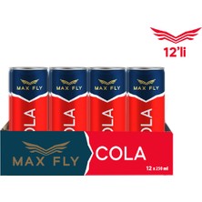 Max Fly Cola 250 ml 12 Adet