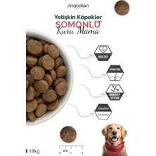 Anatolian Premium Anatolian Premium Somonlu Yetişkin Köpek Maması 18 kg