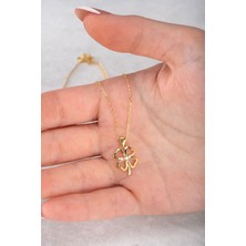 Jewelmim Yonca Gümüş Kolye 18 Ayar Sarı Altın Kaplama Şans Yoncası 925 Ayar Gümüş Kadın Kolye| Bayan Dört Yapraklı Yoncalı Zirkon Taşlı 4 Yapraklı Yonca Kolyesi Gold Kadın Gümüş Kolye