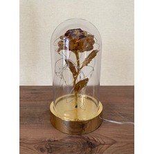 Köy Tohumları LED Işıklı USB Fiş Başlıklı Sevgiliye Verilecek En Güzel Hediye Anne Öğretmen Hediye