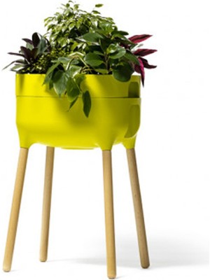 Plastia Urbalive Ahşap Ayaklı Saksı, Yeşil