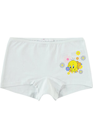 Hello Kitty Kız Çocuk İç Çamaşır Takımı 2-10 Yaş Pembe Fiyatı