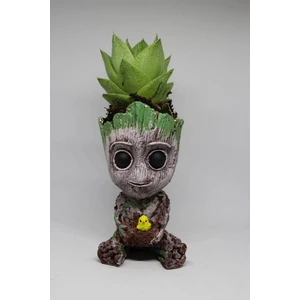 Cactus Garden Groot Civciv Figürlü 3D Dekoratif Saksı + Canlı Sukulent Bitkili