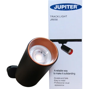 Jüpiter S.ü. Siyah ve Altın Monofaze Soketli Ray Spot JR658SA