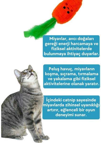Havuç Peluş Kedi Oyuncağı ve 2 Adet Kedi Nanesi Otu Catnip , Doldurulabilir Kedi Oyuncağı