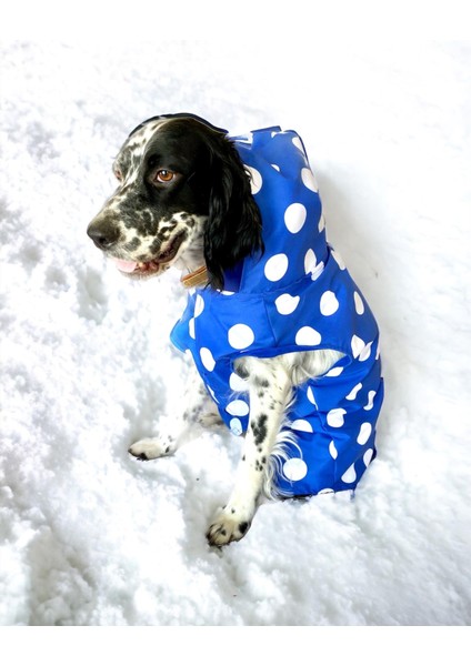 Mega Dots Blue Köpek Yağmurluğu Kapşonlu Yağmurluk Orta ve Büyük Irklar Için 8XL