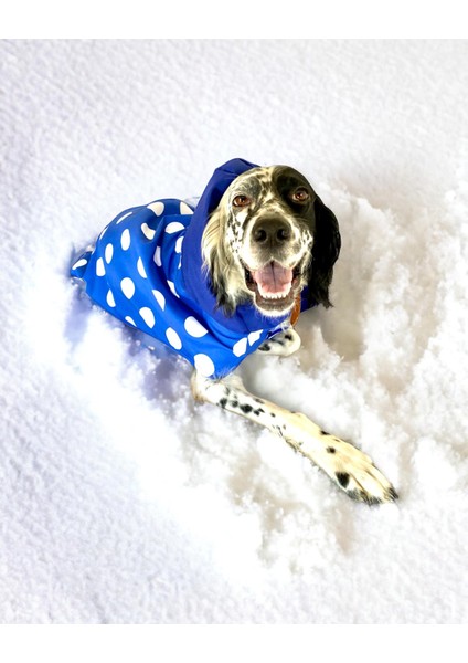 Mega Dots Blue Köpek Yağmurluğu Kapşonlu Yağmurluk Orta ve Büyük Irklar Için 8XL fiyatları