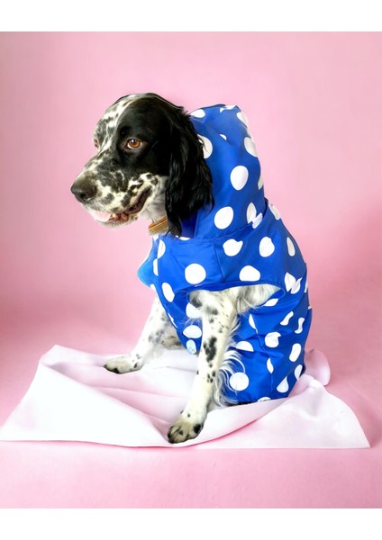 Mega Dots Blue Köpek Yağmurluğu Kapşonlu Yağmurluk Orta ve Büyük Irklar Için 8XL indirimleri