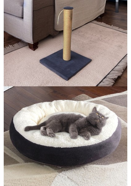 Açık Kedi Tuvaleti Paspas Yatak Tırmalama Kürek Kedi Seti