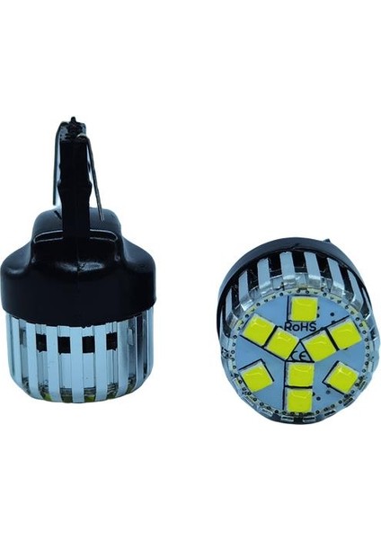 T20 Dekoratif led ampul çift duy beyaz 12V 4W canbus / LAAM950