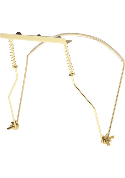 10 Delik Stili Için Gümüş Acemi Taşınabilir Basit Armonika Boyun Tutucu Ayarlanabilir Ağız Organ Standı Armonika Arp Raf Metal Çelik (Yurt Dışından) fiyatları