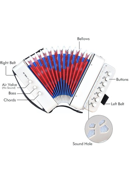 Mavi Stil 7 Tuşlu Akordeon Çocuk Enstrüman Eğitici Sahne Performansı Öğrenci Uygulama Oyuncak Organ Hediye Özelleştirme X7F9 (Yurt Dışından)