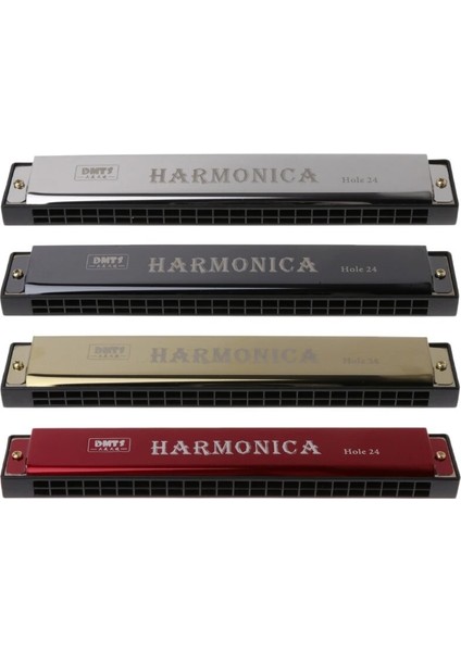 No.4 Tarzı Yeni Başlayanlar Için Profesyonel 24 Delik Mızıka Ağız Metal Organ Müzik Aletleri Mızıka Arp Harmonium Blues Ipuçları (Yurt Dışından) fiyatları