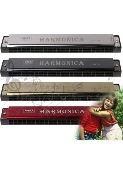 No.4 Tarzı Yeni Başlayanlar Için Profesyonel 24 Delik Mızıka Ağız Metal Organ Müzik Aletleri Mızıka Arp Harmonium Blues Ipuçları (Yurt Dışından) fırsatları