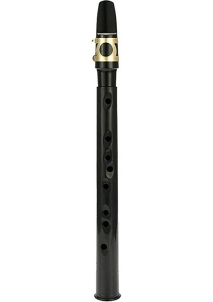 Siyah Stil C Anahtar Cep Sax Mini Saksafon Çanta ile Küçük Nefesli Enstrüman Müzik Için Amatör Profesyonel Çocuk Hediye Oyuncak Oynaması Kolay (Yurt Dışından)