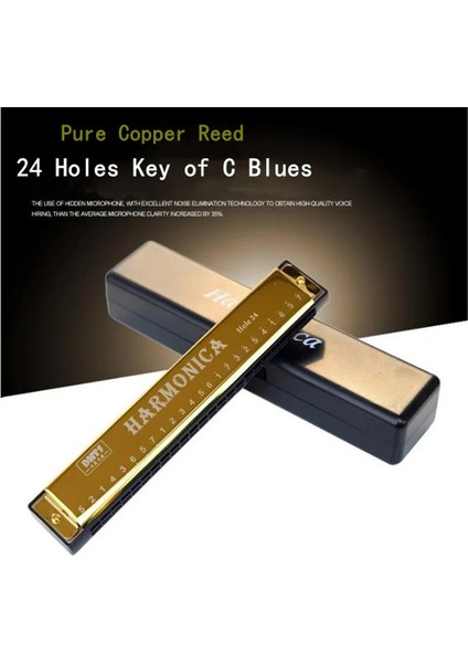 C Stili Armonika 24 Delikli Arp C Tonu Diatonik Arp Tuşu C Blues Jazz Band Ağız Org Arp Erken Eğitim Bebek Müziği Anlamı Eğitimi (Yurt Dışından) modelleri