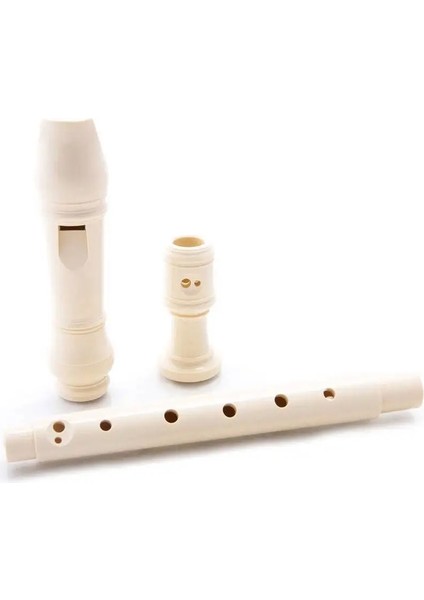 Çocuklar Için Delikler Uzun Flüt Enstrüman Eğitim Aracı Müzikal Soprano Kaydedici Popüler Yeni Sıcak Satış (Yurt Dışından) fırsatları