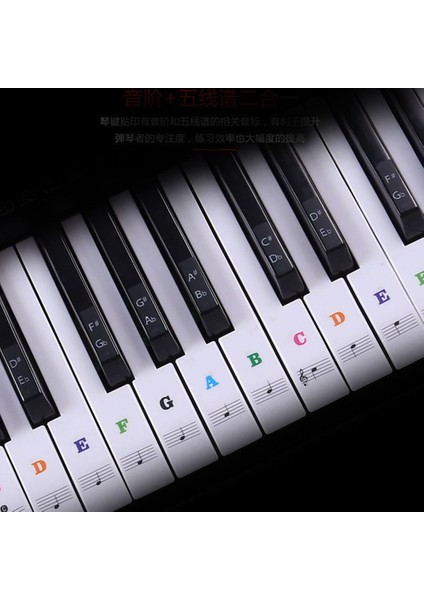 Siyah Stil Piyano Klavye Biginners Sticker Not Çıkarılabilir Tuşlar Etiket Pvc Çıta Müzik Çıkartması #734 (Yurt Dışından)
