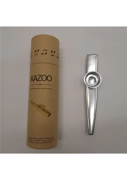 Gümüş Tarzı Kutu Müzik Aletleri ile Metal Kazoos Flüt Diyafram Ağız Kazoo Flüt Gitar Yeni Başlayanlar Çocuklar Için Yetişkin Parti Hediyeleri (Yurt Dışından)