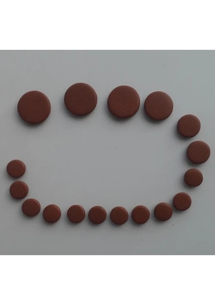 Buffet Rc-Brown Style Leather Clarinet Sound Hole Pads Lampskin Pads (Yurt Dışından)