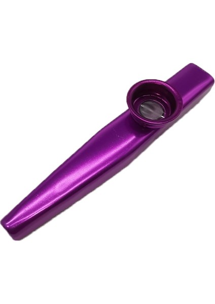 Mor Tarzı 1 Adet Metal Kazoo Hafif Taşınabilir Acemi Flüt Enstrüman Müzik Severler Nefesli Çalgı Basit Tasarım Hafif (Yurt Dışından)