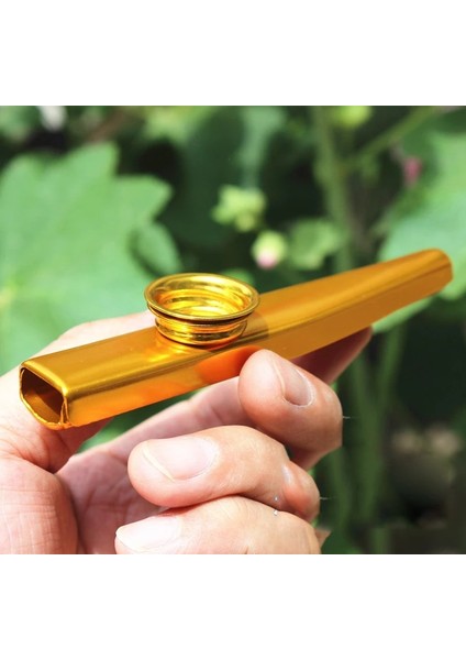 Mor Tarzı 1 Adet Metal Kazoo Hafif Taşınabilir Acemi Flüt Enstrüman Müzik Severler Nefesli Çalgı Basit Tasarım Hafif (Yurt Dışından)