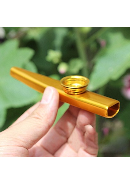 Mor Tarzı 1 Adet Metal Kazoo Hafif Taşınabilir Acemi Flüt Enstrüman Müzik Severler Nefesli Çalgı Basit Tasarım Hafif (Yurt Dışından)