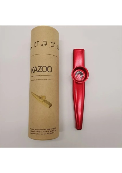 Gümüş Tarzı Kutu Müzik Aletleri ile Metal Kazoos Flüt Diyafram Ağız Kazoo Flüt Gitar Yeni Başlayanlar Çocuklar Için Yetişkin Parti Hediyeleri (Yurt Dışından)