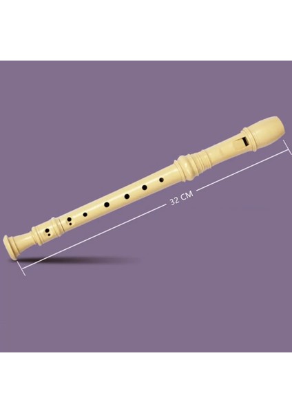 8 Delikli Soprano Kaydedici Tiz Flüt Okul Kaydediciler Temizleme Çubuğu ve Çocuklar Için Kılıf Tasarımı Flüt Enstrüman Seti (Yurt Dışından)