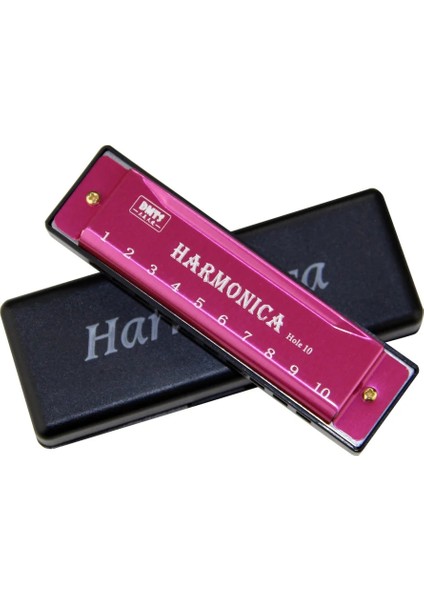 Pembe Tarzı Mızıka Delik Anahtarı Diatonik Mızıka C Yeni Başlayan Öğrenciler Için Kılıflı Çocuklara Hediye Mavi Kılıflı (Yurt Dışından)