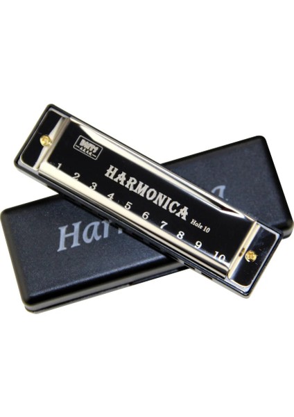 Pembe Tarzı Mızıka Delik Anahtarı Diatonik Mızıka C Yeni Başlayan Öğrenciler Için Kılıflı Çocuklara Hediye Mavi Kılıflı (Yurt Dışından) fırsatları