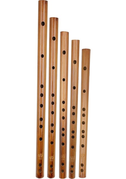 Anahtar E Stili Benzersiz Hint Ahşap Flüt Müzik Aleti Kaydedici Bansuri Doğum Günü Hediyesi (Yurt Dışından) fiyatları