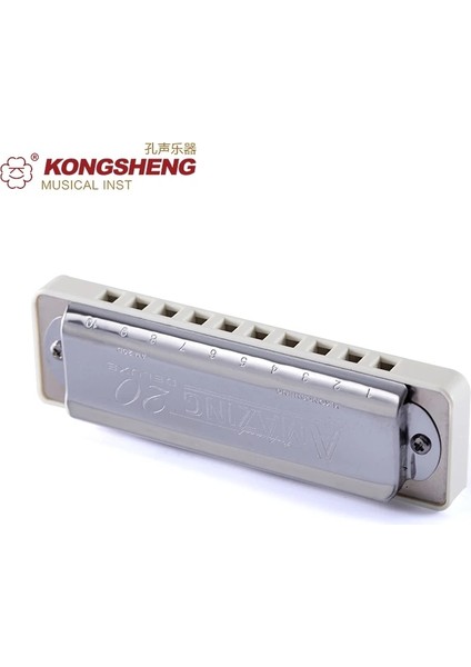 D Stilinin Anahtarı Kongsheng AMAZING20 Deluxe (AM20D) Diatonic Armonika Yüksek 10 Delik Blues Arp Ağız Organı Beyaz Acemi Için Özel (Yurt Dışından) fırsatları