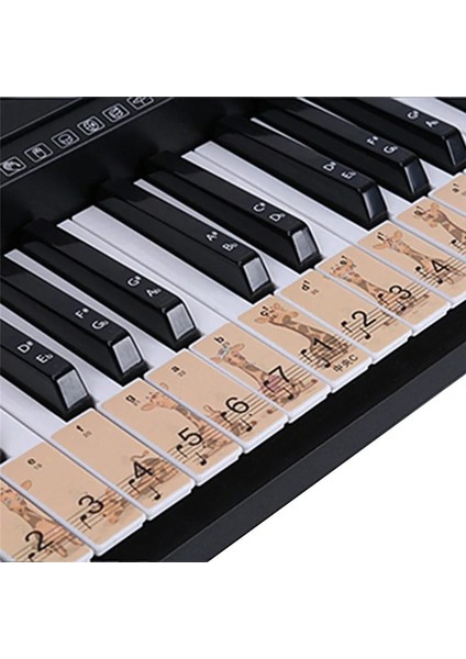 18,5X12,5 cm Stili Yeni Piyano Klavye Etiketi Çıkarılabilir Elektronik Şeffaf Piyano Etiketi Yeni Başlayanlar Için Anahtar Etiketleri (Yurt Dışından) fiyatları