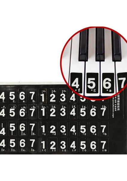 Büyük Indirim! Şeffaf Piyano Klavye Etiket Anahtar Elektronik Klavye Beyaz Tuşlar Için 88 Anahtar Piyano Çıta Not Etiket (Yurt Dışından)