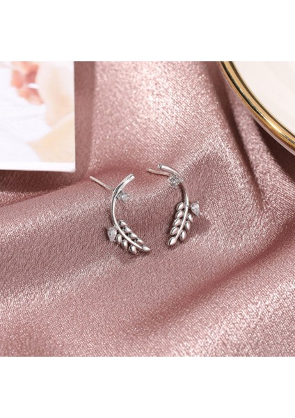 Zarif Zirkon Küçük Buğday Kulakları Damızlık Küpe Kadınlar Için Boho Tarzı Yaz Jewelrywings Çıtçıt Takı Hediye, Altın (Yurt Dışından) indirimleri