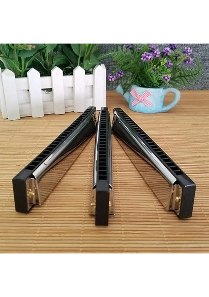 Gümüş Tarzı Armonika Tremolo C Tuşu 24 Delik Tremolo Armonika Ağız Organı Yüksek Li Müzik Aletleri Organ Çocuk Enstrüman Oyuncak Hediye (Yurt Dışından) fırsatları